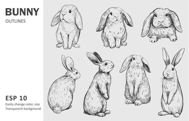 sketch of bunny. hand drawn outline converted to vector