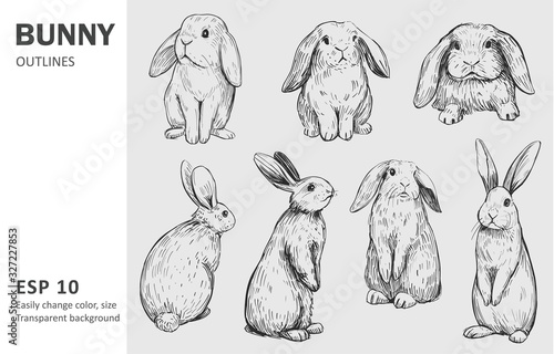 Cuadros en Lienzo Sketch of bunny. Hand drawn outline converted to vector