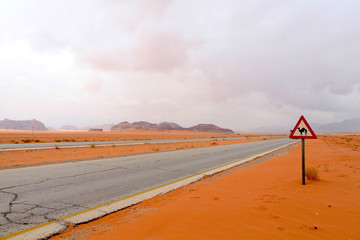 Wall Mural - desert highway in Jordan with camel warning sign