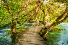 Wooden Footpath Over River In Forest Of Krka National Park, Croatia. Beautiful Scene With Trees, Water And Sunrays.