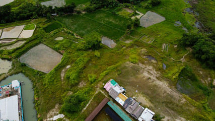 Aerial view beautiful terraced rice fields and residential, Tangerang, Indonesia