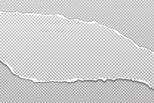Torn, Ripped Piece Of White And Grey Paper With Soft Shadow Is On Squared Background For Text. Vector Illustration