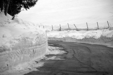 Canvas Print - winter