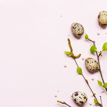 Natural Easter Decor. Young Blooming Twigs And Quail Eggs. Happy Easter Concept