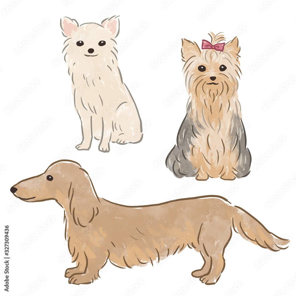 小型犬 の Stock イラスト | Adobe Stock