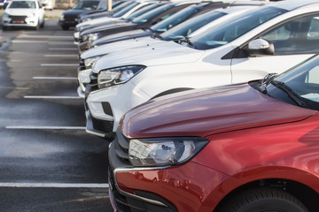 Canvas Print - Cars For Sale Stock Lot Row.