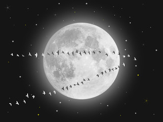 Wall Mural - Silhouette of a group of flying birds to the moon