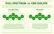 Full Spectrum vs CBD Isolate horizontal infographic illustration about cannabis as herbal alternative medicine and chemical therapy, healthcare and medical science vector.