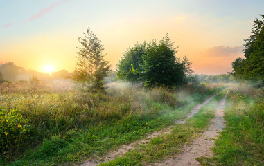 Wall Mural - spring field at sunrise