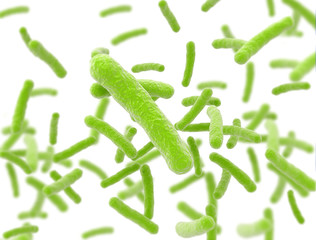 Wall Mural - Green bacteria cells flowing isolated on white background. 3d illustration