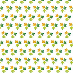 Different color maple leaves on white background. Autumn maple leaf copies. Creative fall season pattern.