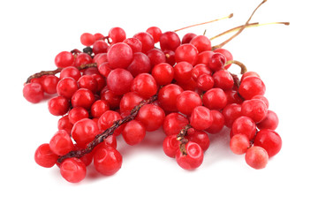 Wall Mural - Schisandra Chinensis isolated on white