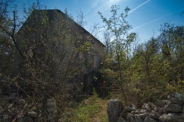 Wall Mural - rural