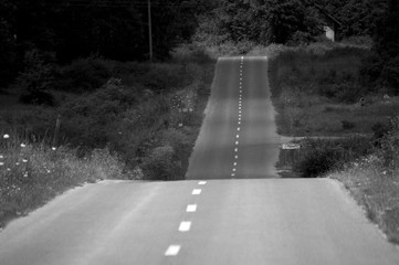 Canvas Print - road