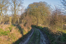 Country Lane Up A Hill In Rural Countryside Landscape