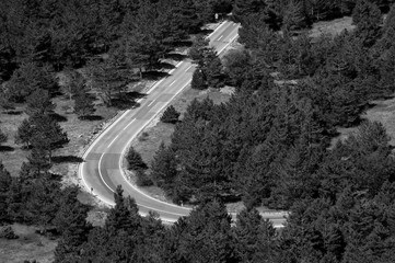 Canvas Print - road