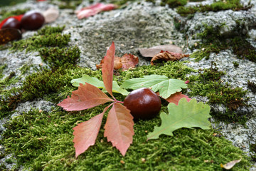 Colorful backgrounds can also be used as wallpapers in best photo quality