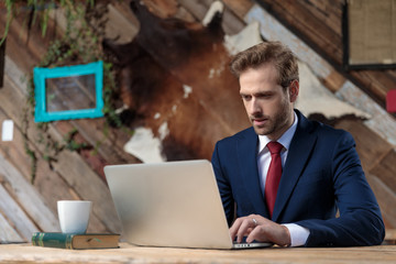 Wall Mural - young businessman working on laptop in a coffeeshop