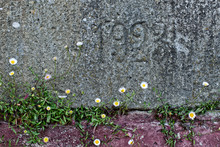 Inscription Of The Year 1923 Carved Into A Wall