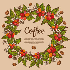 Wall Mural - Vector coffee plants color banners. Design templates for advertising