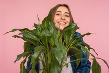 Closeup Of Funny Housewife Peeping From Bush Of Green Plant And Looking At Camera With Pleased Smile, Holding Big Flowerpot, Loves Gardening And Nature. Indoor Studio Shot Isolated On Pink Background