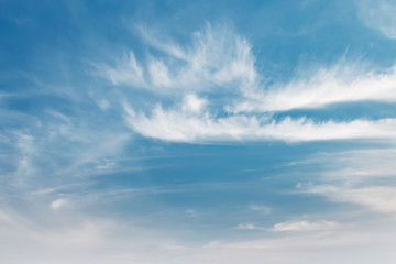 beautiful blue sky with white cloud view nature