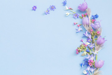 spring flowers on blue background