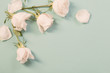 beautiful roses on green paper background