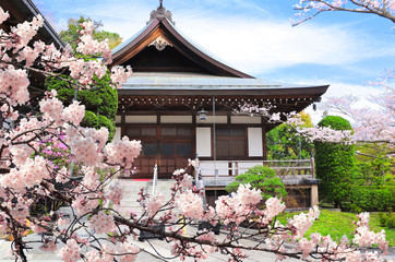 Sticker - Ancient pavilions and flowering sakura, Hokokuji temple, Kamakura, Japan