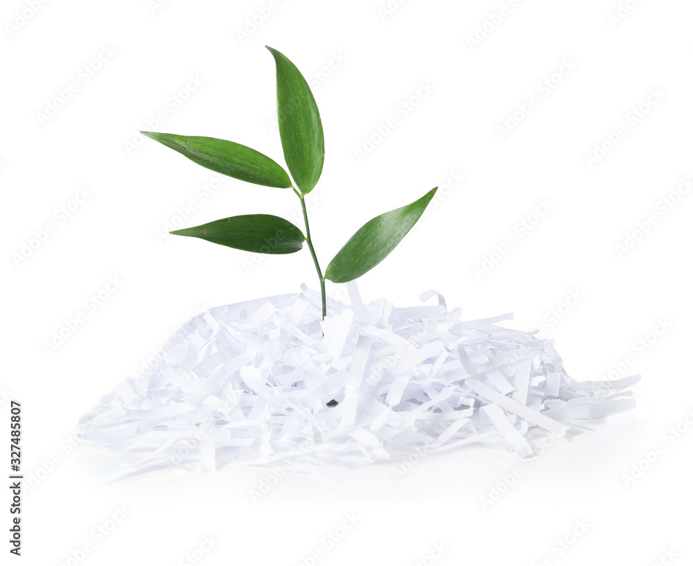 Shredded paper with green leaves on white background. Recycling concept