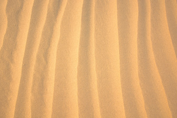 Wall Mural - Abstract striped background of sand 