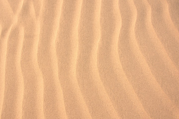 Wall Mural - Texture of brown sand