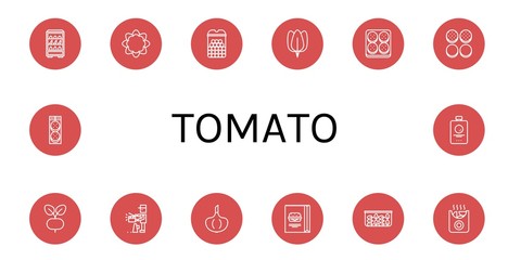 Wall Mural - tomato simple icons set