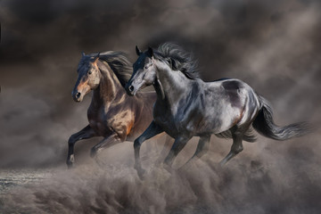 Naklejka na meble Two horse run gallop in desert storm