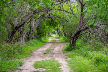 A well maintained recreational grounds in Estero Llano Grande State Park, Texas