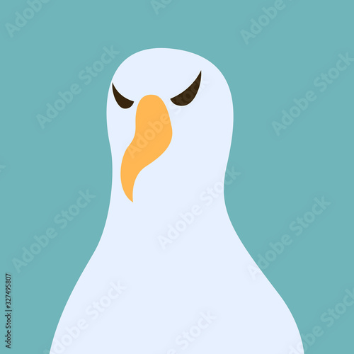 Fotografía albatros bird head,vector illustration, flat style