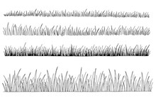 Grass Set Graphic Black White Isolated Sketch Illustration Vector