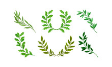 Wreath Of Leaves And Branches With Separate Twigs Vector Set