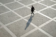 © PeskyMonkey - Overhead view of unrecognizable pedestrian casting shadow on the geometric patterns of a stone plaza on a quay next to the River Seine in Paris, France