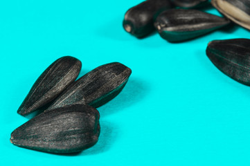 Wall Mural - Sunflower seeds in  macro on blue background