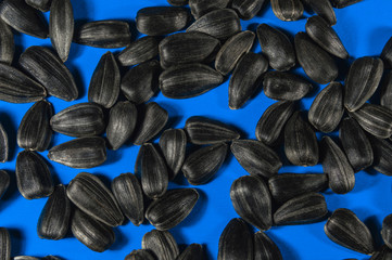 Wall Mural - Sunflower seeds in  macro on blue background