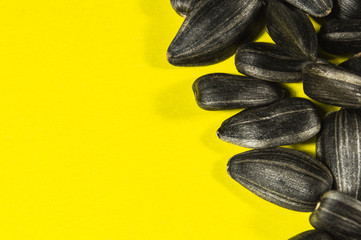 Wall Mural - Sunflower seeds in  macro on yellow background