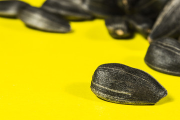 Wall Mural - Sunflower seeds in  macro on yellow background