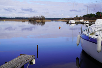 Wall Mural - marina in blue water lake of biscarosse landes france