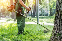 Worker Mowing Tall Grass With Electric Or Petrol Lawn Trimmer In City Park Or Backyard. Gardening Care Tools And Equipment. Process Of Lawn Trimming With Hand Mower