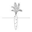 Carrot vegetable in continuous line art drawing style. Growing carrot plant minimalist black linear sketch isolated on white background. Vector illustration