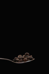 Coffee beans roasted dark on a  spoon, with a black background