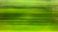 Trees In Motion As An Abstract Background.
