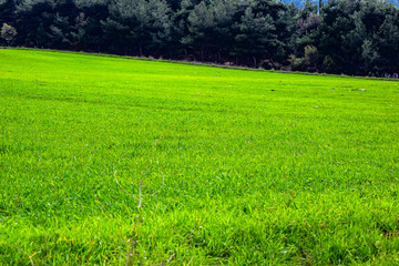 Panoramic view of idyllic mountain scenery