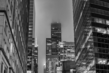 Poster - Chicago illuminated by millions of lights and colors